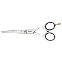 Jaguar PreStyle Ergo Ножницы для парикмахеров Полированные 5.5" 82655 цена и информация | Расчески, щетки для волос, ножницы | pigu.lt