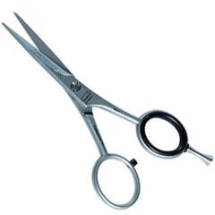Žirklės plaukams Henbor Carbonium 795 6.5, 1 vnt. цена и информация | Расчески, щетки для волос, ножницы | pigu.lt