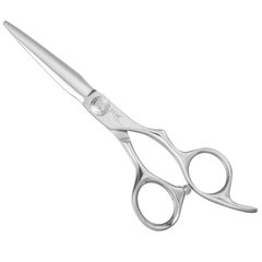 Парикмахерские ножницы 5.5 цена и информация | Расчески, щетки для волос, ножницы | pigu.lt