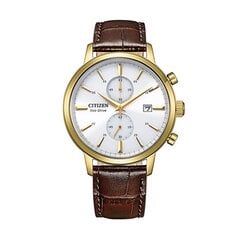 Laikrodis vyrams Citizen CA7062-15A S7284811 цена и информация | Женские часы | pigu.lt