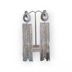 Vakariniai elegantiški auskarai moterims su kalnų krištolu sidabro spalvos IVAKS1 цена и информация | Серьги | pigu.lt