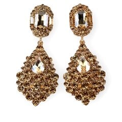 Elegantiški vakariniai auskarai Gold Shine su kristalais POVA1 kaina ir informacija | Auskarai | pigu.lt