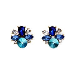 Žavūs maži auskarai moterims su kristalais Mėlynasis spindesys KRAPM2 цена и информация | Серьги | pigu.lt
