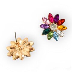 Žavūs maži auskarai su spalvotais kristalais Vaivorykštė GELKRSP8 kaina ir informacija | Auskarai | pigu.lt