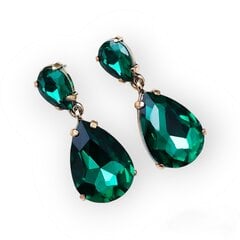 Žavūs elegantiški kabantys auskarai su stiklo kristalais Green Velvet LASZ1 цена и информация | Серьги | pigu.lt
