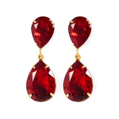 Žavūs elegantiški kabantys auskarai su stiklo kristalais Red Velvet LASR2 kaina ir informacija | Auskarai | pigu.lt