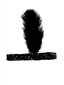 Retro galvos papuošalas su plunksna moterims, 1 vnt. kaina ir informacija | Plaukų aksesuarai | pigu.lt