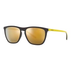 Vyriški akiniai nuo saulės Arnette fry an, 4301 s7297206 kaina ir informacija | Akiniai nuo saulės vyrams | pigu.lt