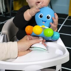 Kūdikio žaislas Baby Einstein Aštunkojis kaina ir informacija | Lavinamieji žaislai | pigu.lt