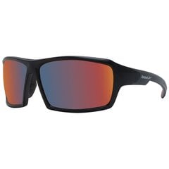 Vyriški akiniai nuo saulės Reebok, RV2339 6501 s7297213 цена и информация | Солнцезащитные очки для мужчин | pigu.lt
