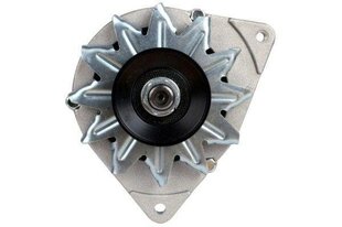 Alternatorius Hella 8EL012429-941, 1 vnt. kaina ir informacija | Auto reikmenys | pigu.lt