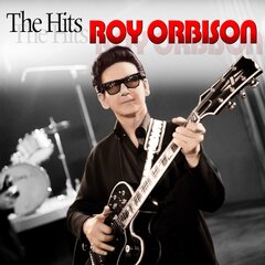CD Roy Orbison The Hits цена и информация | Виниловые пластинки, CD, DVD | pigu.lt