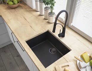 Virtuvės maišytuvas sifonas Nexo juodas цена и информация | Кухонные смесители  | pigu.lt