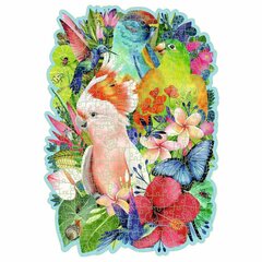 Dėlionė su paukščiais Ravensburger Beautiful Birds, 300 d. kaina ir informacija | Dėlionės (puzzle) | pigu.lt