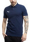 Marškinėliai vyrams Puma Team Goal Casuals Polo 658605 06 kaina ir informacija | Vyriški marškinėliai | pigu.lt