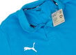 Marškinėliai vyrams Puma Team Goal Casuals Polo 658605 02 kaina ir informacija | Vyriški marškinėliai | pigu.lt