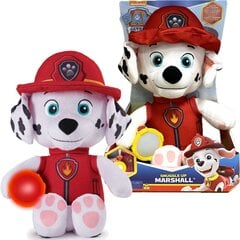 Interaktyvus žaislas Paw Patrol (Šuniukai Patruliai), 29 cm цена и информация | Мягкие игрушки | pigu.lt