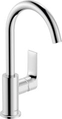 Hansgrohe Rebris E 210 praustuvo maišytuvas su pop-up. chromas 72576000 kaina ir informacija | Vandens maišytuvai | pigu.lt