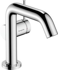 Hansgrohe Tecturis S virtuvinis maišytuvas chromas 73320000 kaina ir informacija | Vandens maišytuvai | pigu.lt