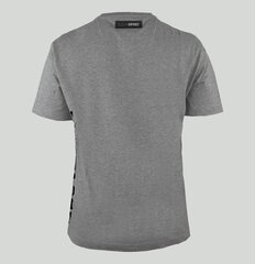 Marškinėliai vyrams Plein Sport TIPS401G, pilki цена и информация | Мужские футболки | pigu.lt