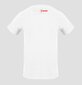 Marškinėliai vyrams Plein Sport TIPS410W, balti цена и информация | Vyriški marškinėliai | pigu.lt