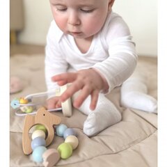 Kūdikių edukacinių žaislų rinkinys Classic World kaina ir informacija | Žaislai kūdikiams | pigu.lt