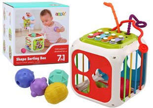Edukacinis kubelių rūšiuoklis su metalofonu Lean Toys 7in1 kaina ir informacija | Žaislai kūdikiams | pigu.lt