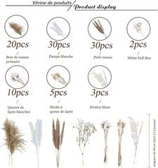 Пампасная трава сушеные цветы украшения стола 73шт шт. цена и информация | Искусственные цветы | pigu.lt