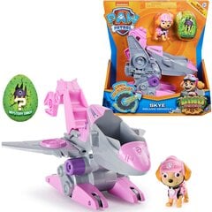 Reaktyvinė transporto priemonė su figūrėle Paw Patrol (Šunyčiai Patruliai) Dino Rescue Skye kaina ir informacija | Žaislai mergaitėms | pigu.lt