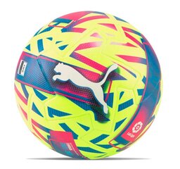Futbolo kamuolys Puma, 5 dydis kaina ir informacija | Futbolo kamuoliai | pigu.lt