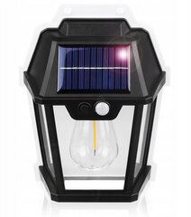 Фасадный светильник Interlook 600 лм, работающий от солнечной энергии цена и информация | Уличные светильники | pigu.lt