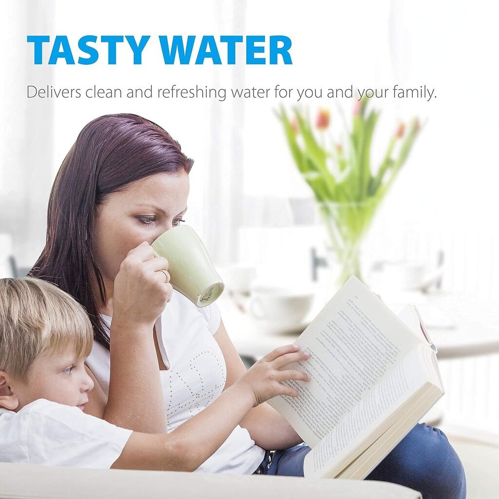 Waterdrop CA6706, 4 vnt. цена и информация | Vandens filtrai | pigu.lt