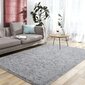 Kilimas Shaggy 120x160cm kaina ir informacija | Kilimai | pigu.lt