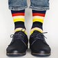 Kojinės vyrams Jeasona, įvairių spalvų, 12 porų цена и информация | Vyriškos kojinės | pigu.lt