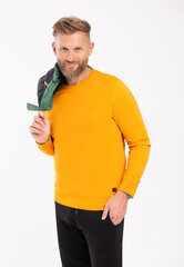 Желтый свитшот B-ANDY цена и информация | Мужская спортивная одежда | pigu.lt