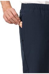 Kelnės vyrams Jack Wolfskin, mėlynos цена и информация | Мужская спортивная одежда | pigu.lt