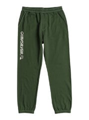 Kelnės vyrams Quiksilver The Original Jogger, žalios цена и информация | Мужские термобрюки, темно-синие, SMA61007 | pigu.lt