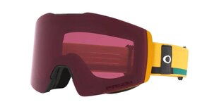 Slidinėjimo akiniai Oakley Fall Line, raudoni kaina ir informacija | Slidinėjimo akiniai | pigu.lt