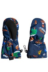 Slidinėjimo pirštinės vaikams Quiksilver Indie Kids Mitt, mėlynos цена и информация | Зимняя одежда для детей | pigu.lt