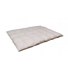Одеяло Exclusive с наполнителем из гусиного пуха и перьев цена и информация | Одеяла | pigu.lt