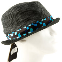 Kepurė vyrams Quiksilver Chroincle цена и информация | Мужские шарфы, шапки, перчатки | pigu.lt