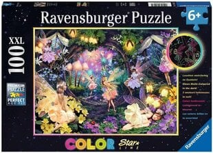 Ravensburger пазл 100 элемента Color Star Line - Fairy Garden цена и информация | Пазлы | pigu.lt