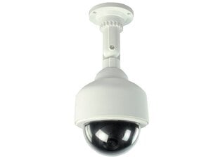 Уличная светодиодная камера наблюдения цена и информация | Камеры видеонаблюдения | pigu.lt