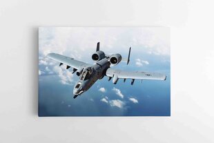 Штурмовой самолет A-10C Thunderbolt II цена и информация | Репродукции, картины | pigu.lt