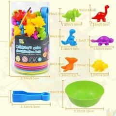 Набор игрушек для развития навыков сортировки по цветам цена и информация | Игрушки для мальчиков | pigu.lt