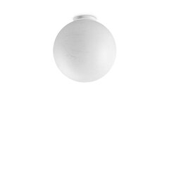Ideal Lux lubinis šviestuvas Carta Pl1 D40 цена и информация | Потолочные светильники | pigu.lt