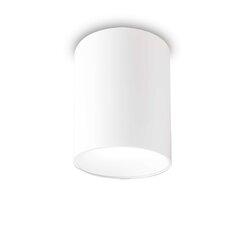 Ideal Lux lubinis šviestuvas Nitro Pl Round D10 Bianco цена и информация | Потолочные светильники | pigu.lt