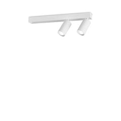 Ideal Lux lubinis šviestuvas Profilo Pl2 Bianco kaina ir informacija | Lubiniai šviestuvai | pigu.lt