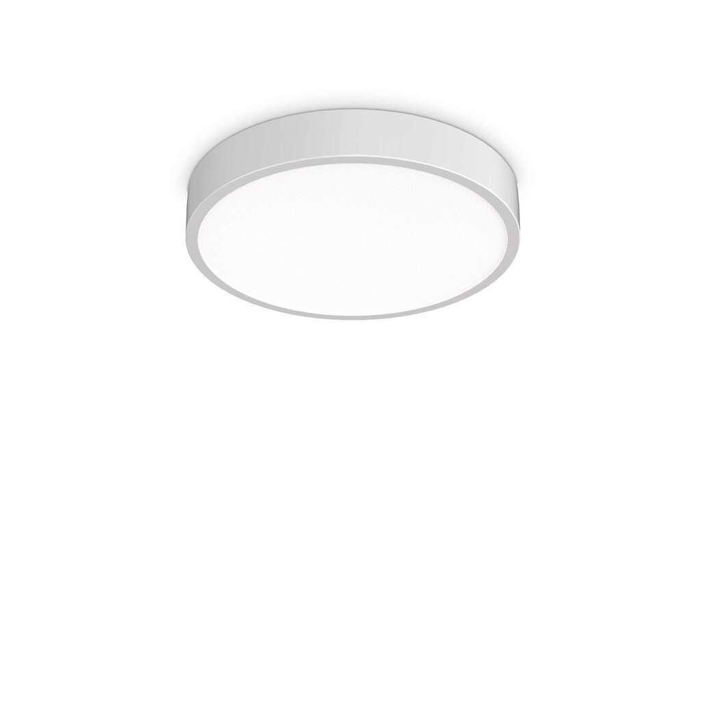 Ideal Lux lubinis šviestuvas Ray Pl D40 Bianco цена и информация | Lubiniai šviestuvai | pigu.lt