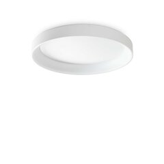 Ideal Lux lubinis šviestuvas Ziggy Pl D080 Bianco kaina ir informacija | Lubiniai šviestuvai | pigu.lt